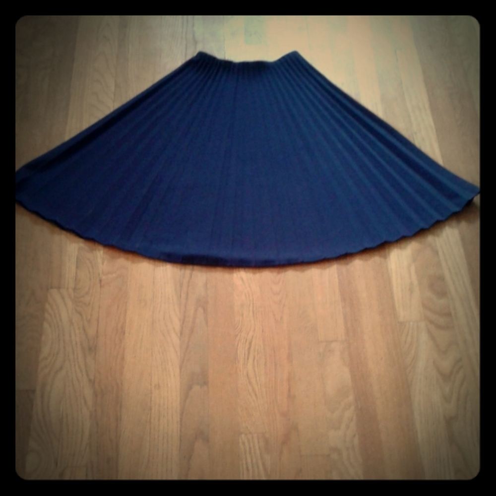 Accordion vintage skirt